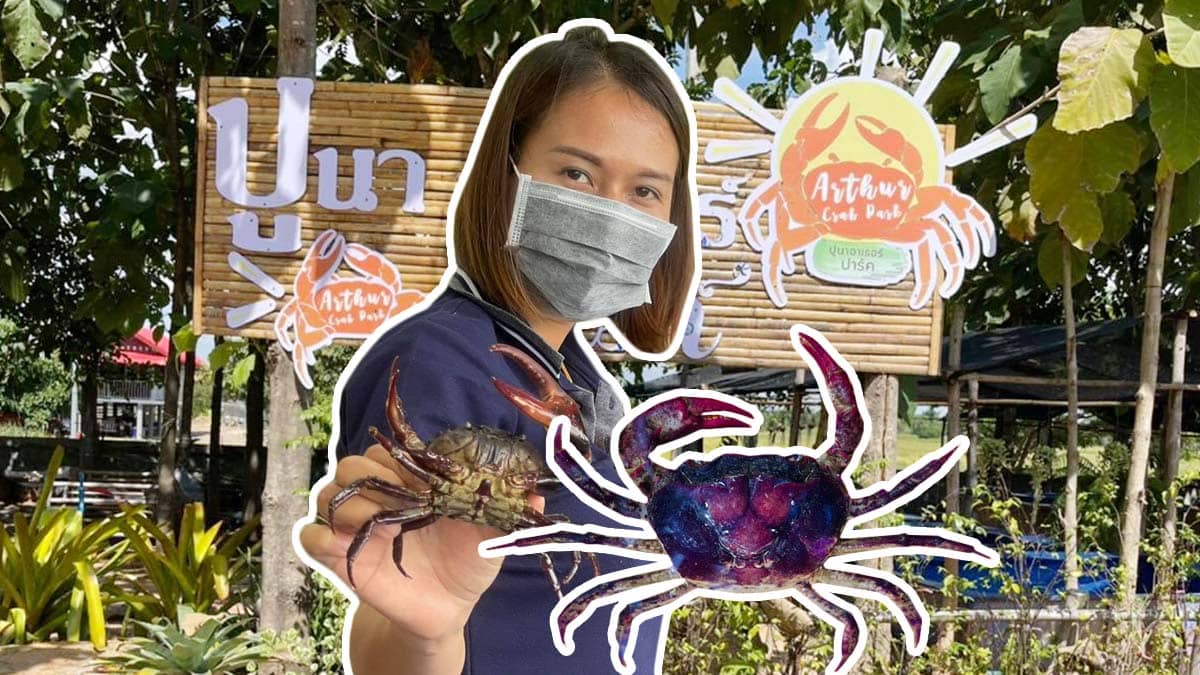 เลี้ยงปูนาดีมั้ย? | ปูนาอาเธอร์ปาร์ค ขอนแก่น